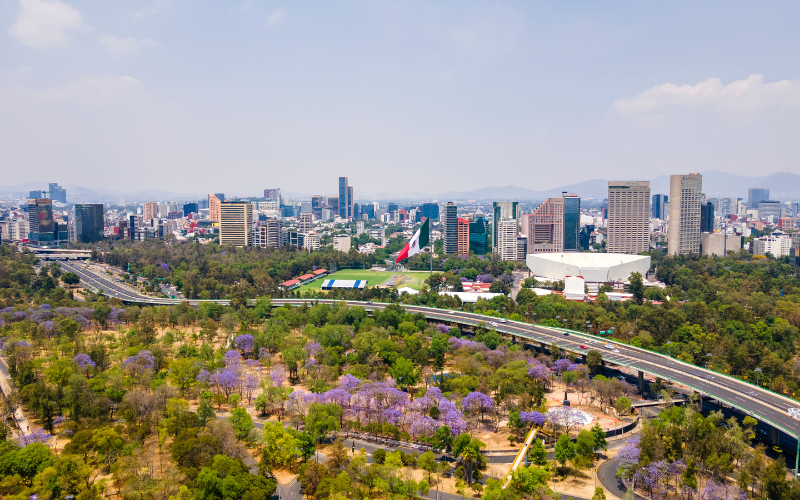 Los puntos clave en seguridad que necesita México 